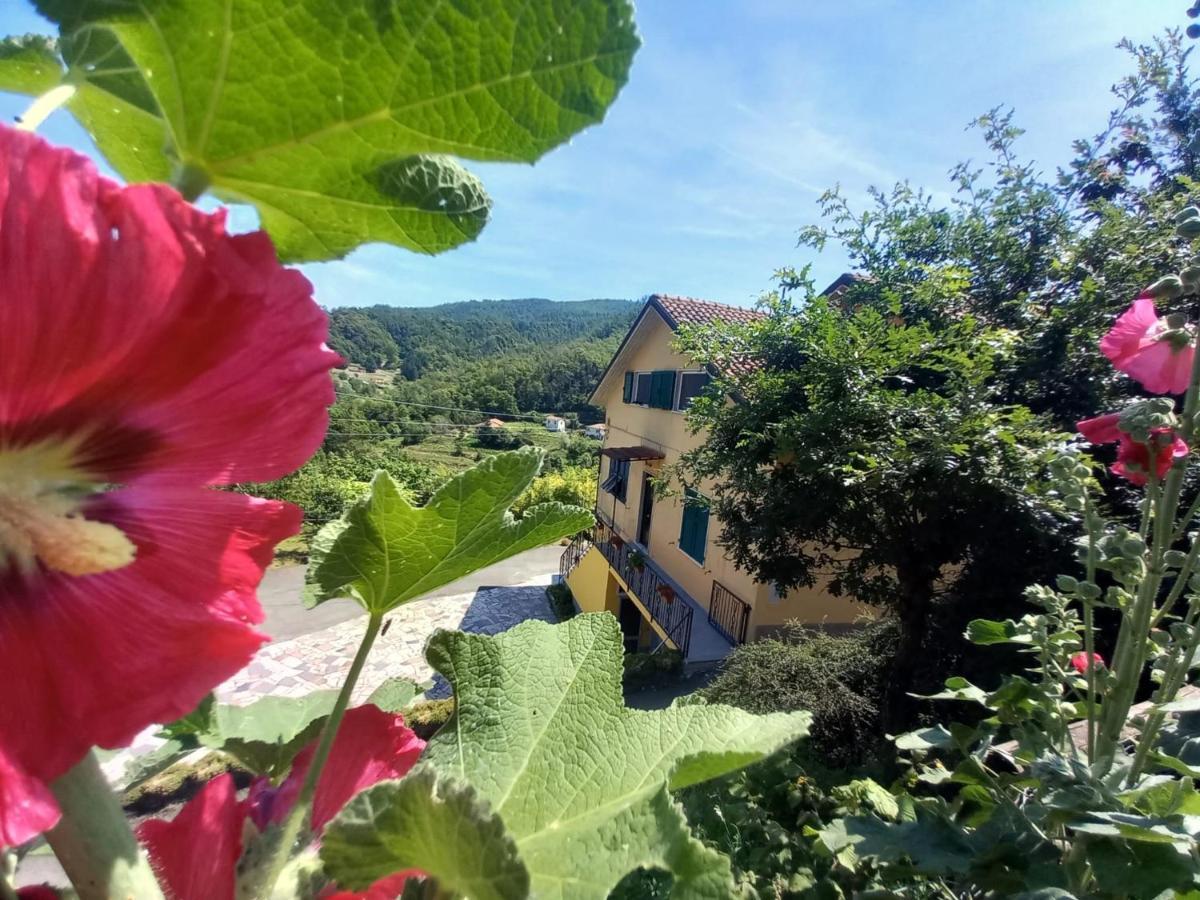 Soviore La Valle Fiorita מראה חיצוני תמונה