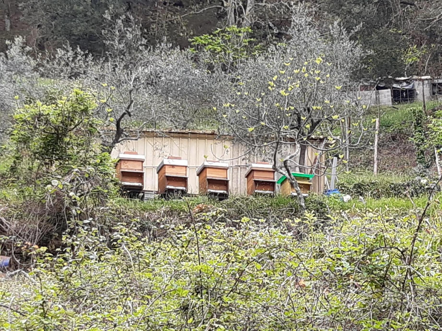 Soviore La Valle Fiorita מראה חיצוני תמונה